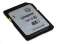 Kingston 16GB SecureDigital (SDHC) Memory Card (Cl