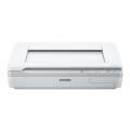 Epson WorkForce DS-50000N