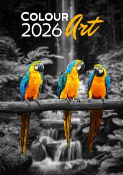 Nástěnný kalendář 2026 Colour Art