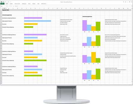 EIZO EV2456-WT - LED monitor 24"