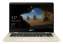 ASUS ZenBook Flip 14 UX461FA, zlatá (UX461FA-E1066