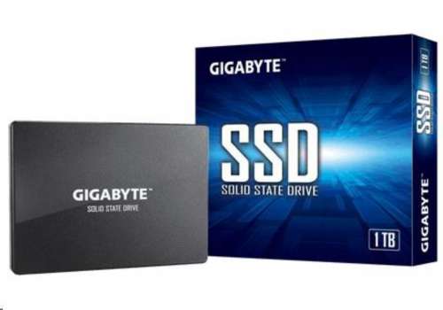 GIGABYTE SSD 1TB SATA (GP-GSTFS31100TNTD)