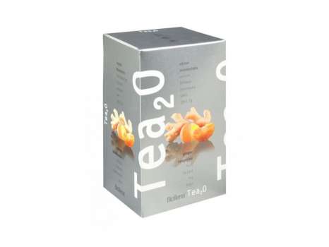 Čaj Biogena T2O - zázvor & mandarinka, 20x 2,5 g
