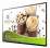 BENQ ST430K - 43" LED monitor