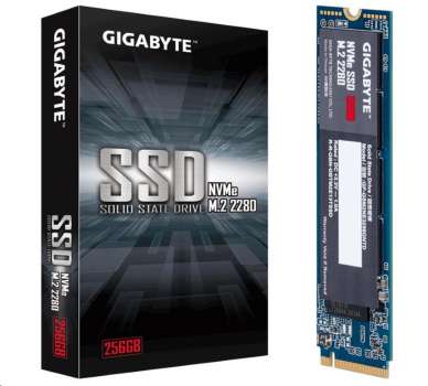 GIGABYTE SSD, M.2 - 256GB