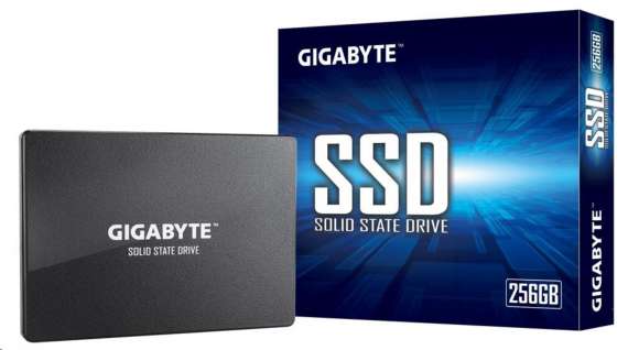 GIGABYTE SSD 256GB (GP-GSTFS31256GTND)