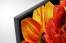 Sony KD-43XG8396 - 108cm 4K Smart TV