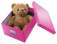 Krabice Click & Store Leitz WOW - A4, růžová