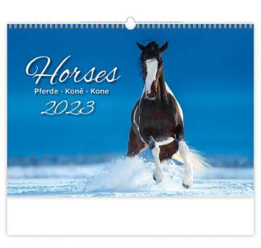 Nástěnný kalendář 2023 Horses Dreaming