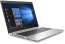 HP ProBook 455 G7, stříbrná (12X17EA)