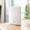 Netgear 2PT LTE ORBI Router