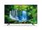 TCL 43P615