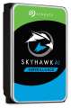 Seagate SkyHawk AI 12TB (ST12000VE001)