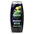 Sprchový gel Radox Men 3v1 - ostružina a zázvor, 225 ml