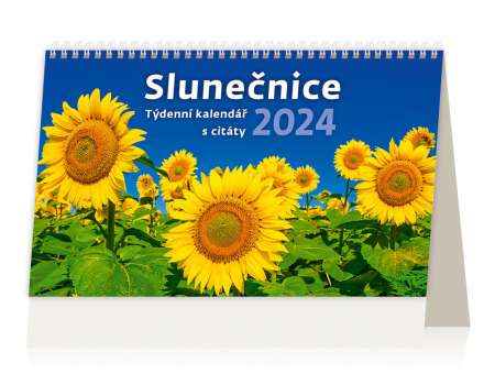 Stolní kalendář 2024 Slunečnice