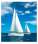 Nástěnný kalendář 2025 Sailing