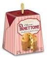 Classic Florentine Panettone, 100 g