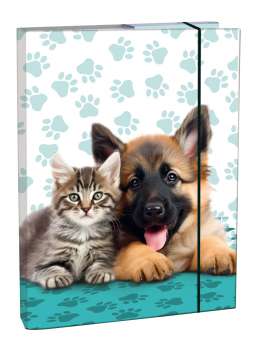 Box na sešity A5 - s gumou, Cute Friends