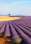 Nástěnný kalendář 2026 Provence