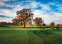 Nástěnný kalendář 2026 Golf - české resorty