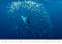 Nástěnný kalendář 2026 Deep Blue