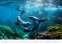 Nástěnný kalendář 2026 Deep Blue