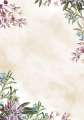 Diplom A4 - motiv Umbria, 100 g/m2, 50 ks