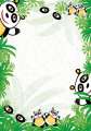 Diplom A4 - motiv panda, 170 g/m2, 25 ks