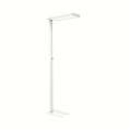 Stojací LED lampa MAULjura - stmívatelná, bílá
