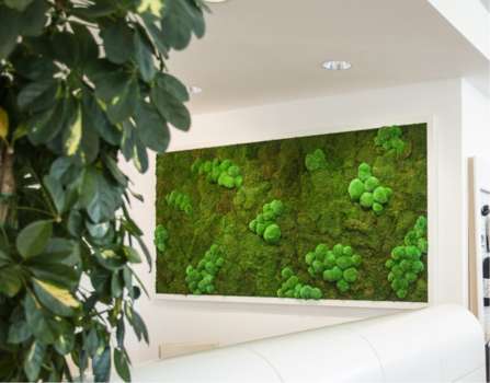 Mechový obraz 200 x 120 cm - dřevěný rám