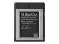 Paměťová karta Cfexpress SanDisk Professional - 256 GB, typ B, černo-stříbrná