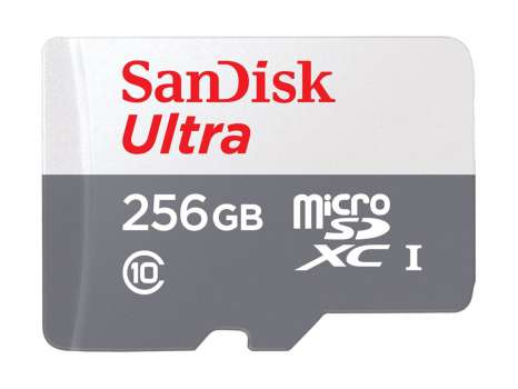 Paměťová karta microSDXC SanDisk Ultra - 256 GB, Class 10, UHS-I, šedá
