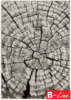 Kusový koberec Wood - 300 x 200 cm, hnědý vícebarevný