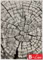 Kusový koberec Wood - 300 x 200 cm, hnědý vícebarevný