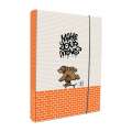 Box na sešity A4 - s gumou, Grizzly skate