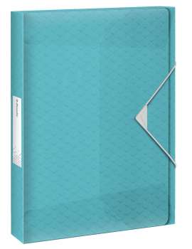 Box na dokumenty Esselte Colour'Breeze, A4, ks