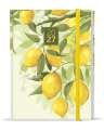 Denní diář 2027 Lamino - B6, Citron