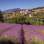 Nástěnný kalendář 2027 Provence, LP
