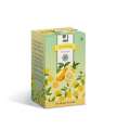 Zelený čaj Q-Connect - Zelený čaj Lemon, 20x 1,8 g, 36 g