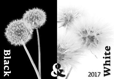 Nástěnný kalendář 2017 Black & White