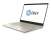 HP Envy 13 (13-ad002nc), zlatá