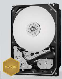 WD Gold - 2TBRAID (WD2005FBYZ)