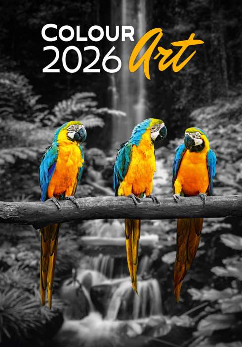 Nástěnný kalendář 2026 Colour Art