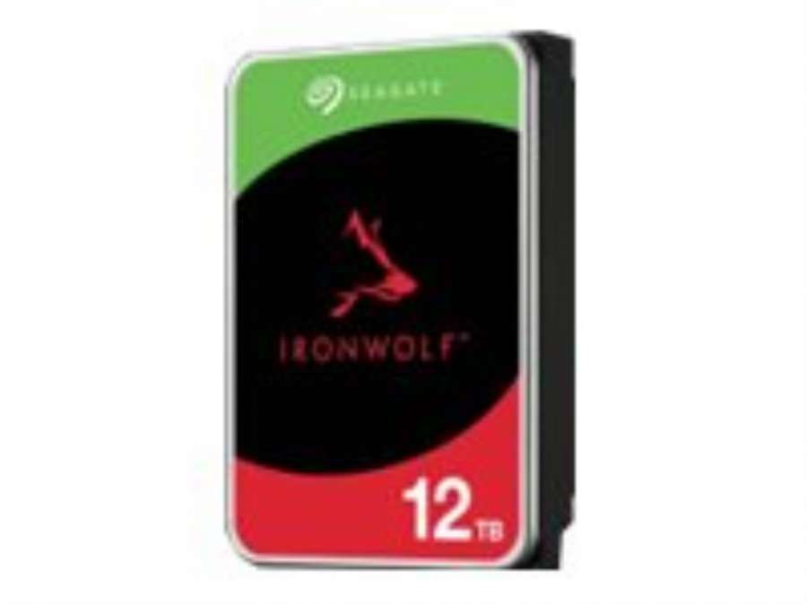 Seagate IronWolf 6TB (ST6000VN006)