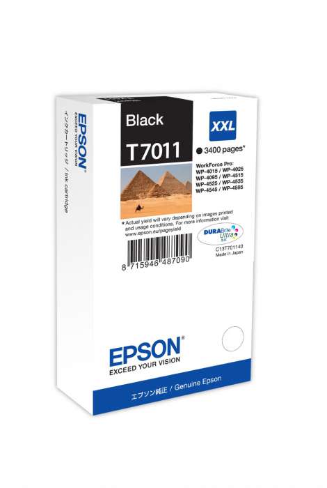 Cartridge Epson C13T70114010 - černý