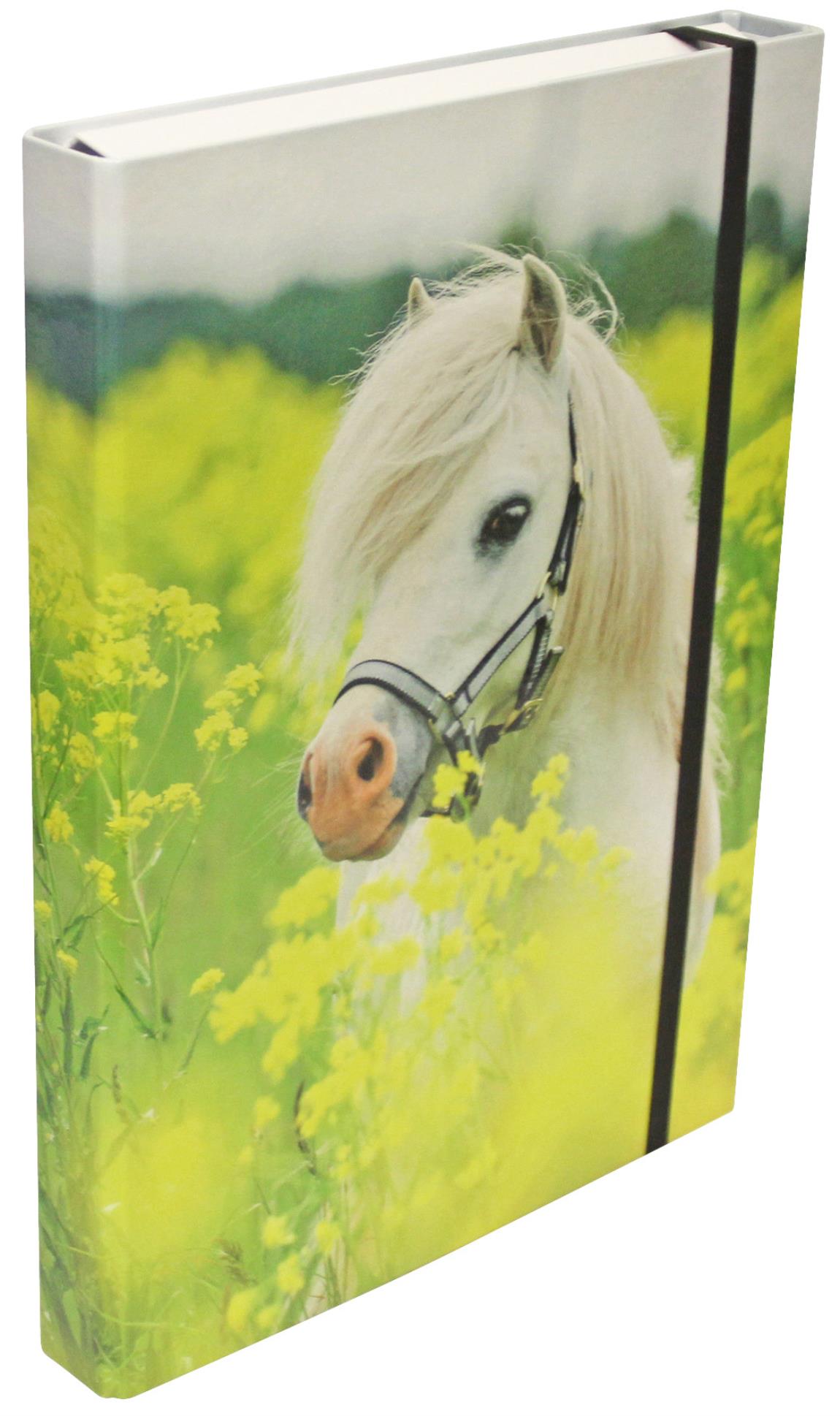 Donau Box na spisy - A4, 4 cm, pony