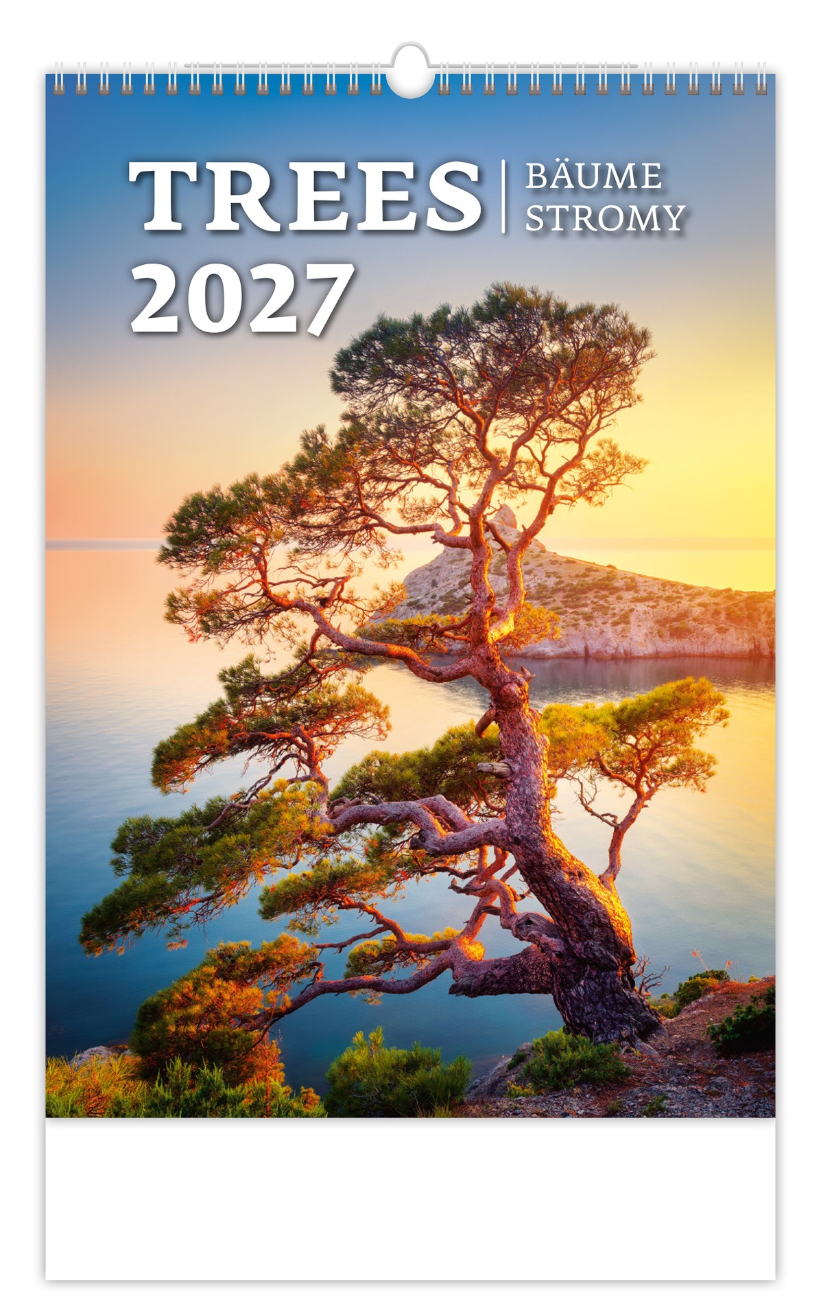 Nástěnný kalendář 2027 Helma Stromy
