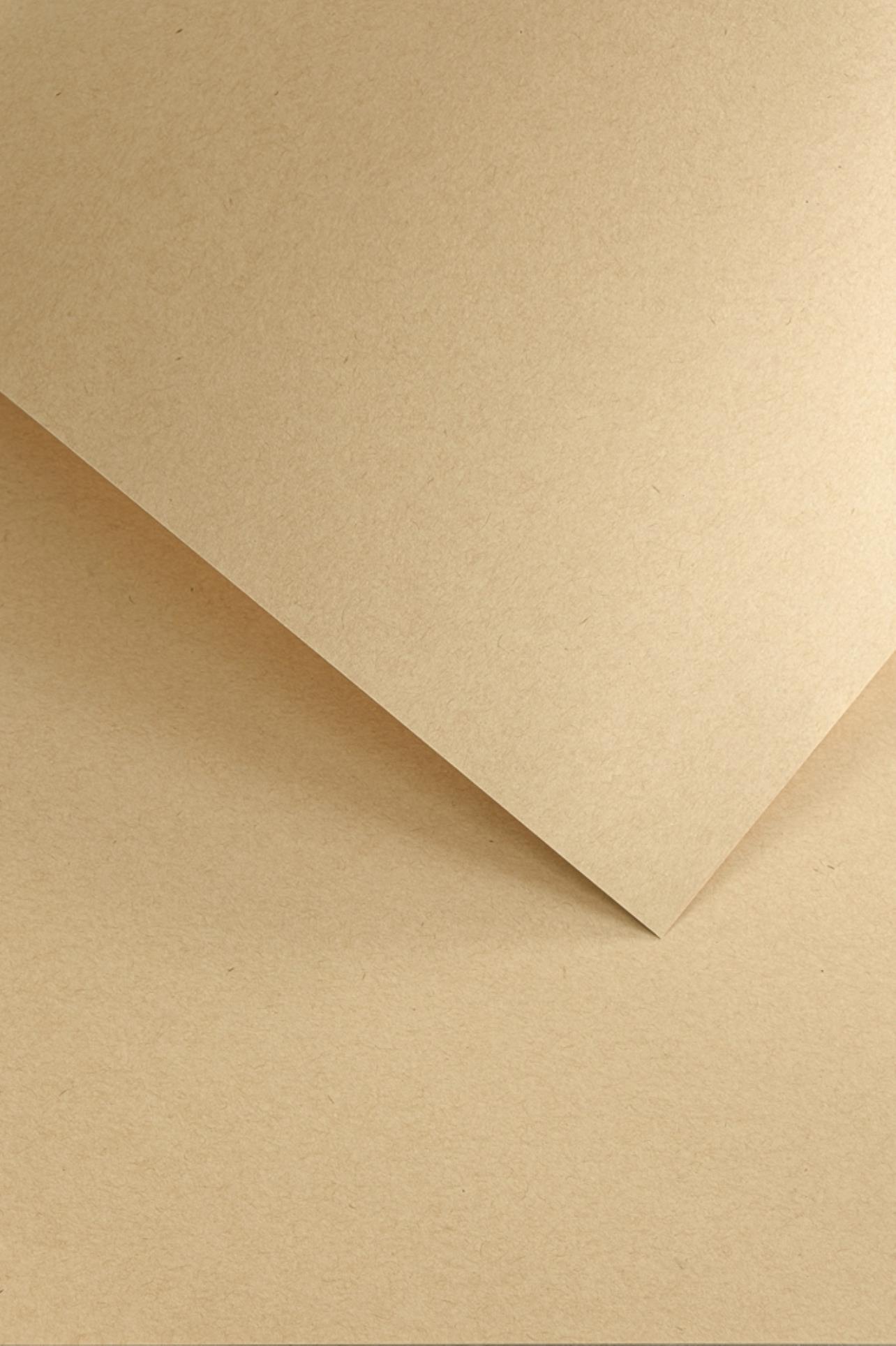 Galeria Papieru Ozdobný papír A3 Nature - 220 g/m2, tmavě béžový, 50 listů