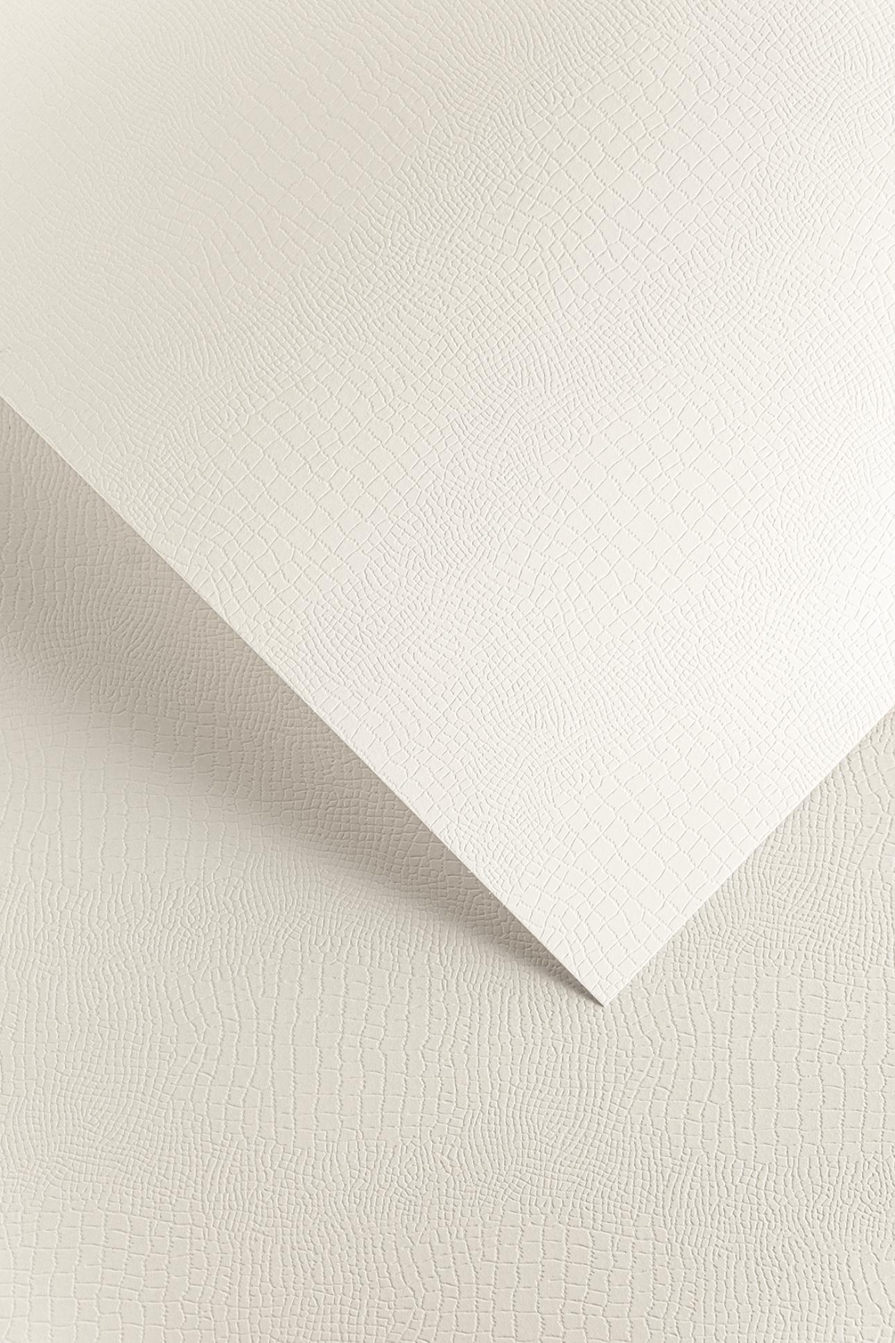 Galeria Papieru Ozdobný papír A4 Borneo - 220 g/m2, bílý, 20 listů