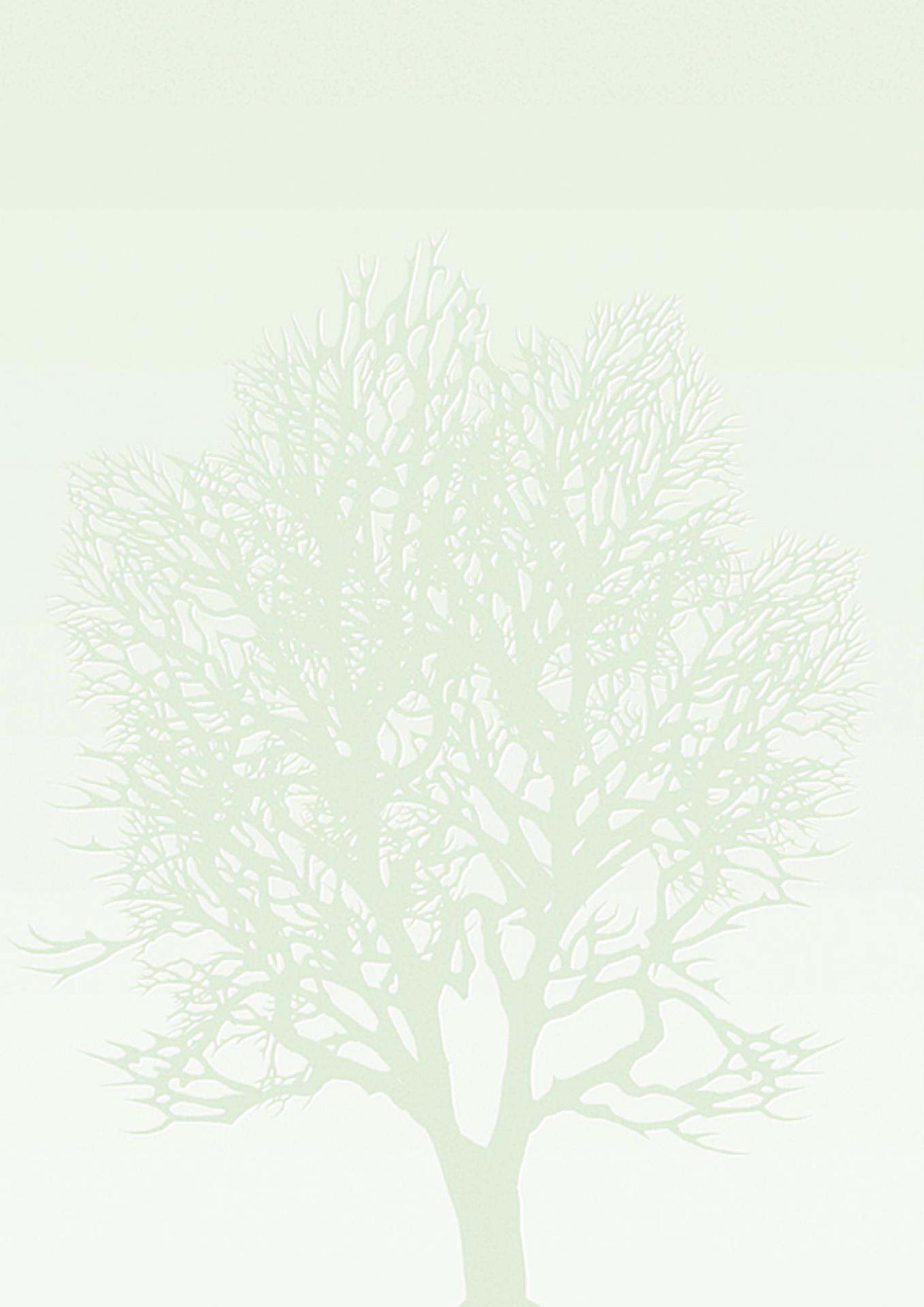 Galeria Papieru Ozdobný papír A4 Tree - 100 g/m2, motiv stromu, 50 listů